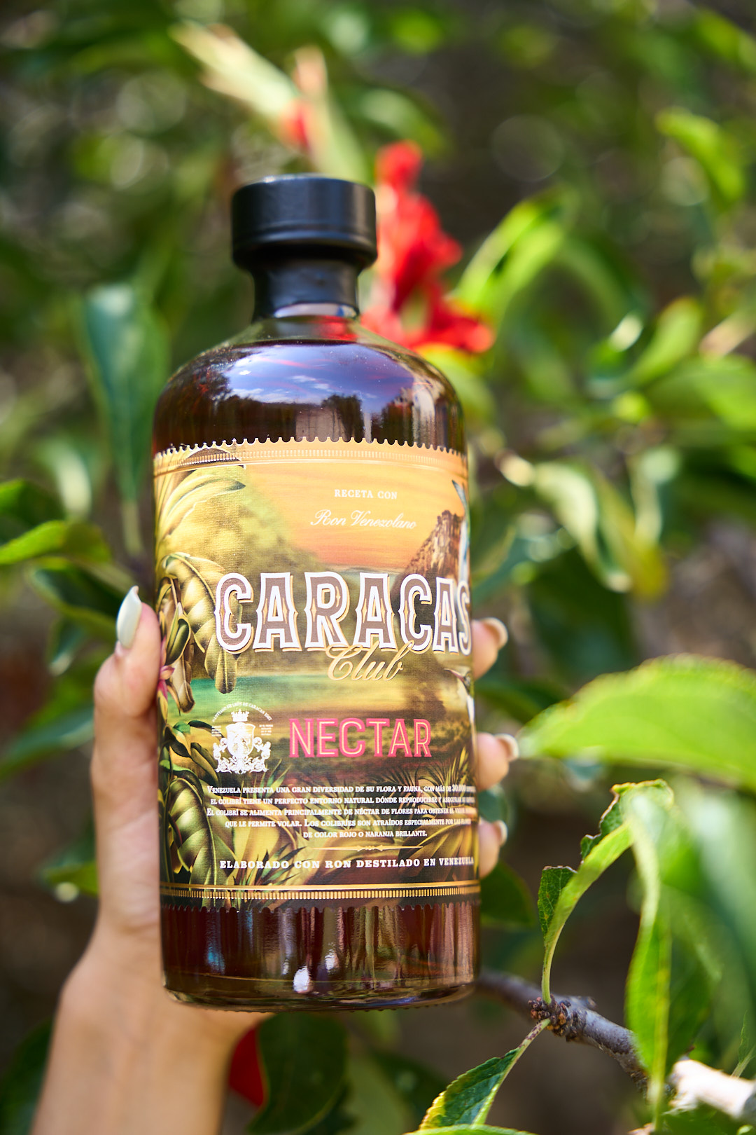 CARACAS CLUB Nectar 0,7l