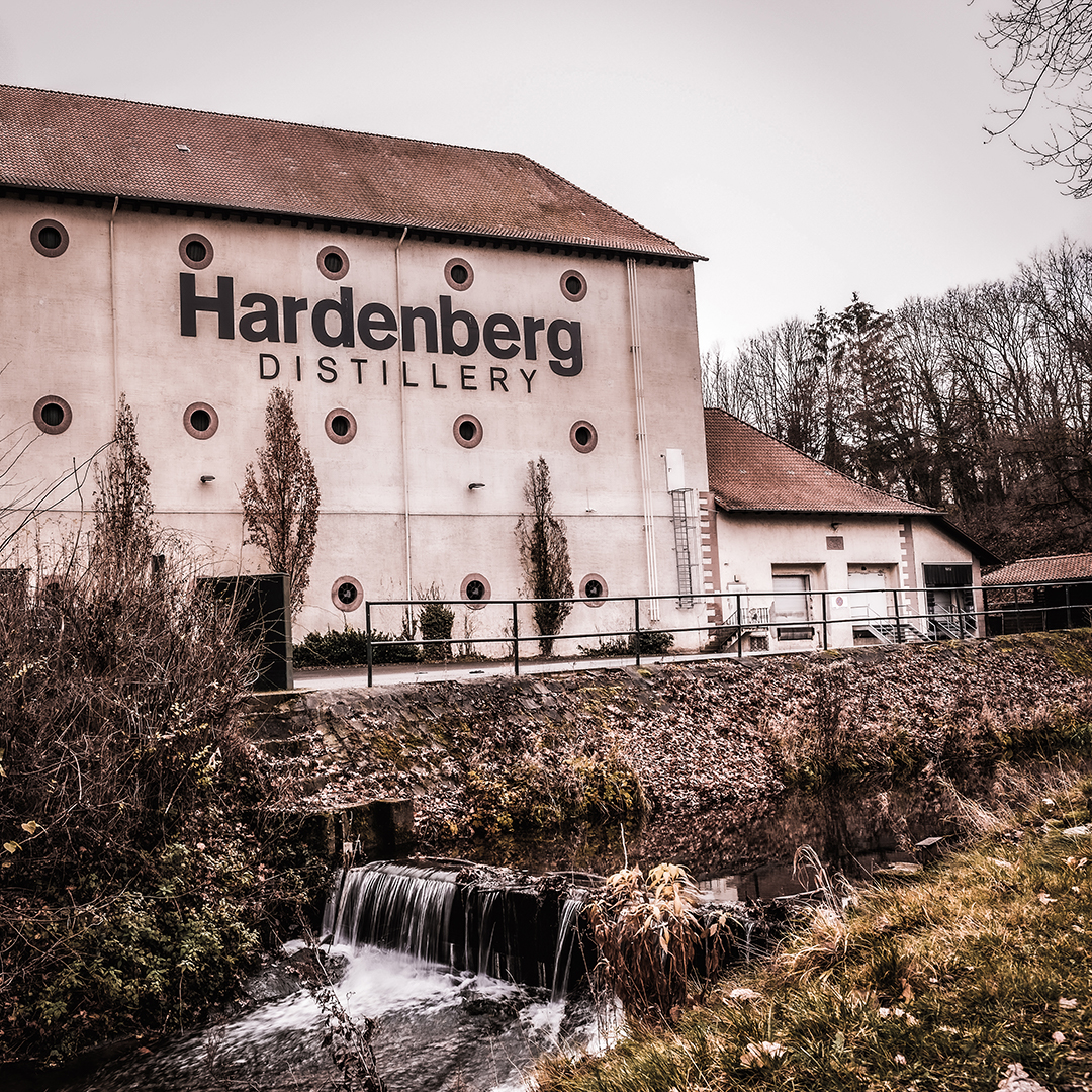 VON HALLERS GIN x Studier 0,5l